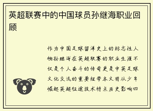 英超联赛中的中国球员孙继海职业回顾